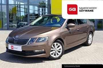 1.5 TSI 150KM MT6 Ambition SmartLink SerwisASO SalonPL FVmraża